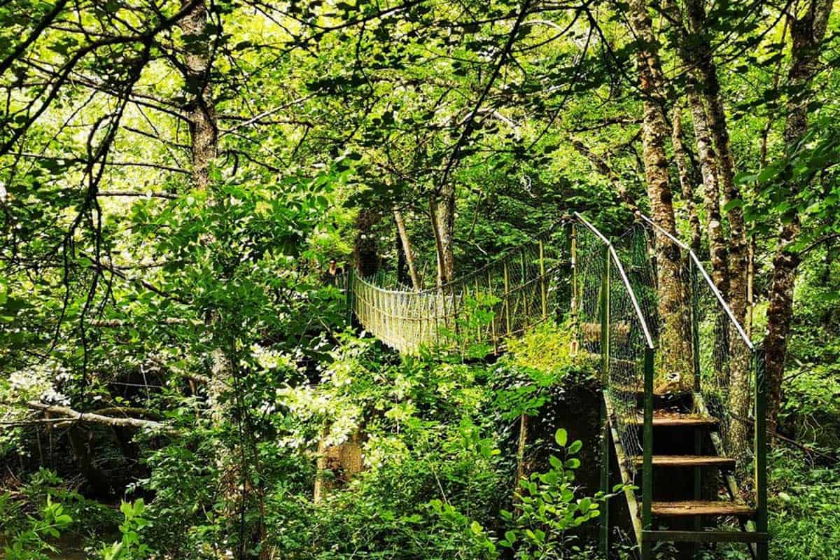 Parque natural de Gorbeia - Hotel Etxegana